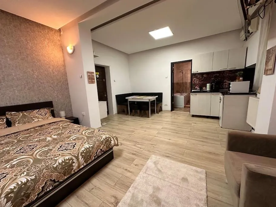 Casa Victoria Studio Apartment Bucharest