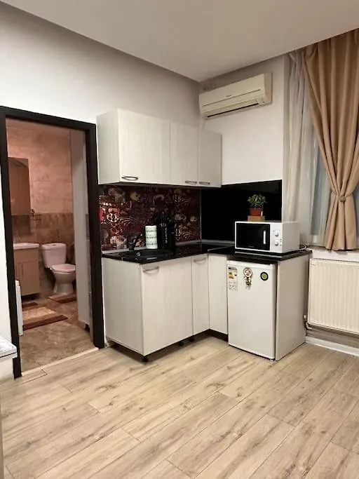 Casa Victoria Studio Apartment Bucharest